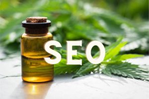 SEO Considerations for the CBD Niche